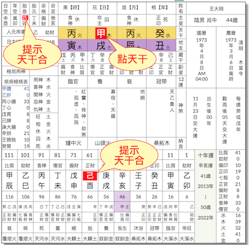 辅助功能天干合